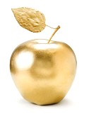 Golden School Award 